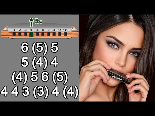 HARVEST MOON HARMONICA DIATONIC C, ANIMATED TUTORIAL, BLUES HARP C, GAITA DE BOCA C
