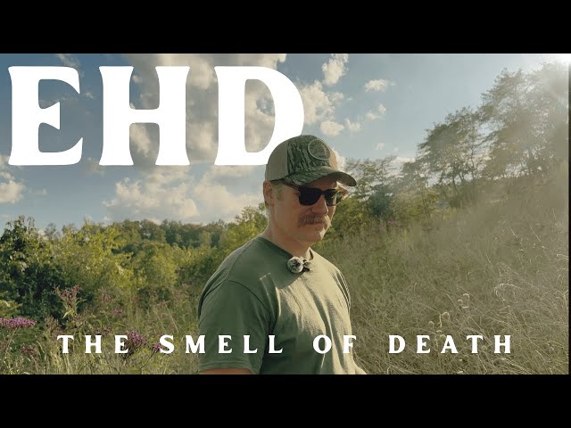 What Every Hunter Needs to Know About EHD 