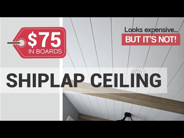 DIY Shiplap Ceiling | How to Plank a Ceiling on a Budget (Easy & Solo)