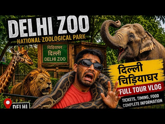 This Python Terrified Me at Delhi Zoo! 🐍😨