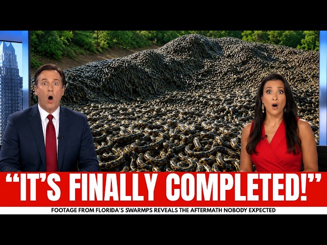 Recent Footage From Florida's Swamps Revealed Something Nobody Expected
