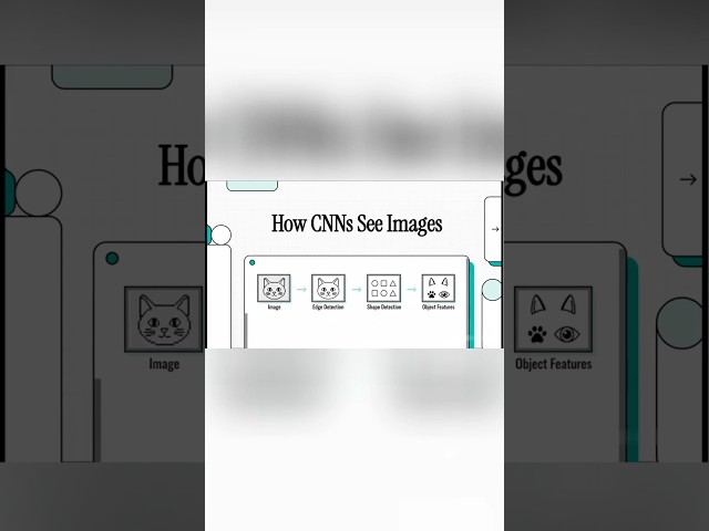 CNN Explained for Interviews (Feature Extraction) #youtubeshorts #cnn  #deeplearning #aiinterview