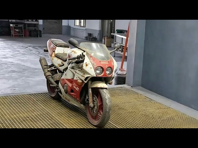 Restoring a 33-Year-Old 20,000 RPM Legend: Ant-Infested CBR250RR