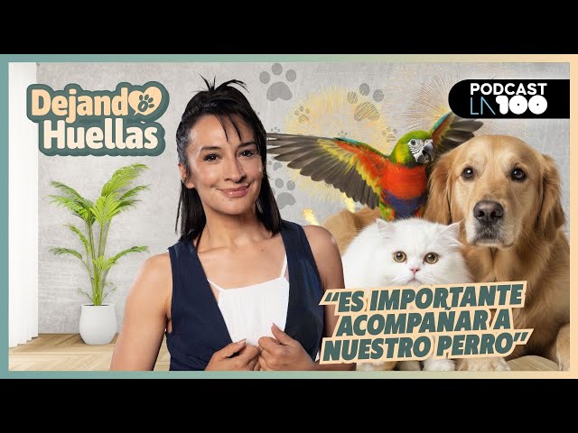 🐾 "A dog doesn't feel the same being alone as being with others" 🐾