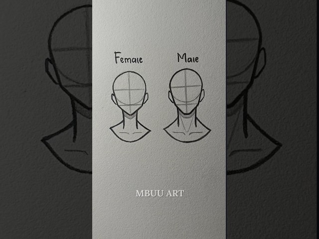 How to draw head✏️ (Loomis method) #drawing #tutorial #howtodraw #sketch #art #shorts