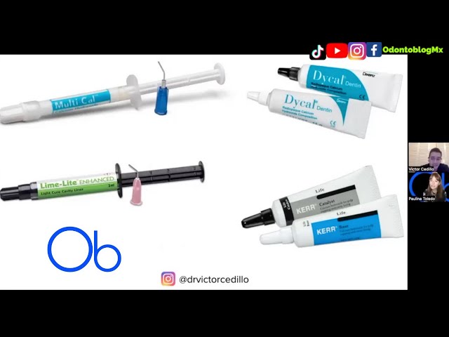LINERS: qué son, función, marcas comerciales y colocación paso a paso