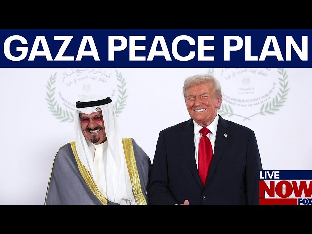 Gaza peace plan update