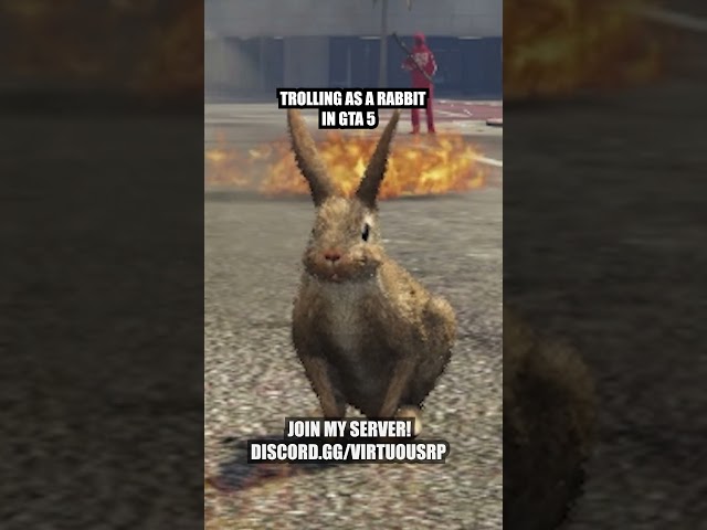 Rabbit Trolls in GTA 5 #gta5rp