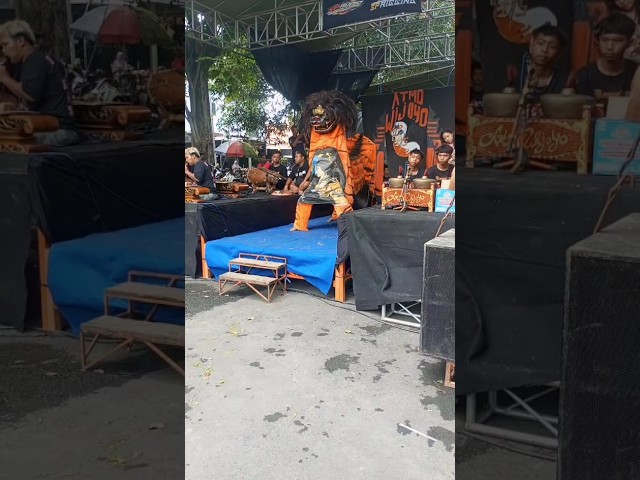 singo barong appears aggressive