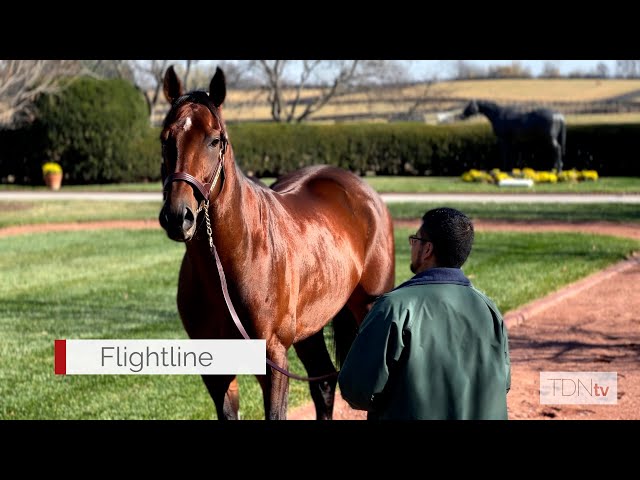 Flightline Settles Into New Home at Lane's End