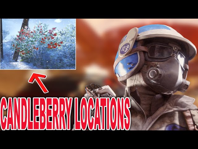 How to Find Candleberries in ARC Raiders (Best Farming Locations)