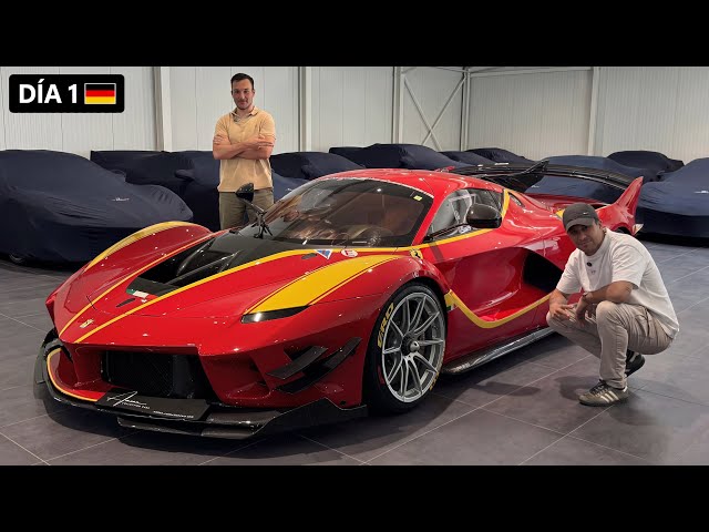 The most BEASTLY PRIVATE COLLECTION in GERMANY