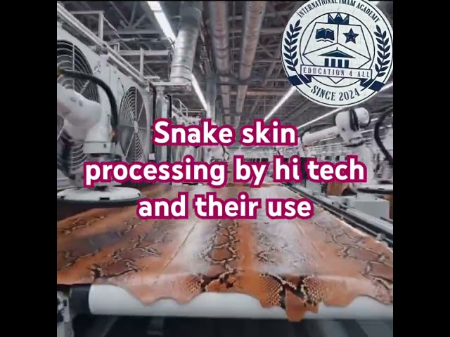 Snake skin processing by hi tech machine #patna #delhi #bihar #viral #shorts #reels #hindi #urdu