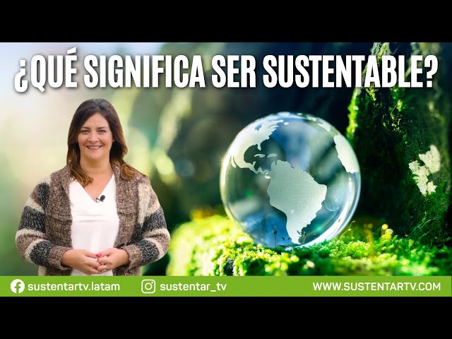What Is Sustainability!🌎 -