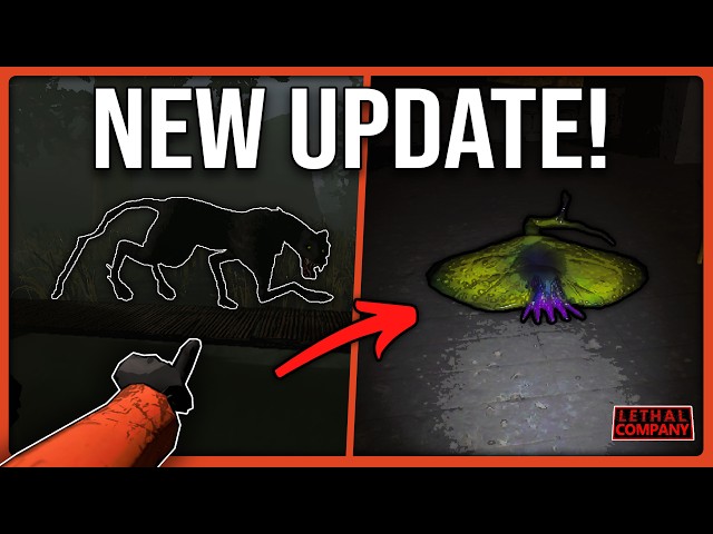 The Official v80 Update Guide!