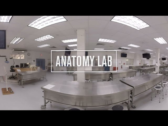 Ross Vet Anatomy Lab