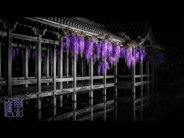 Water Corridor & Dark Wisteria - Deep Focus for Late Night Work & Coding | Felt Piano & Wind ASMR