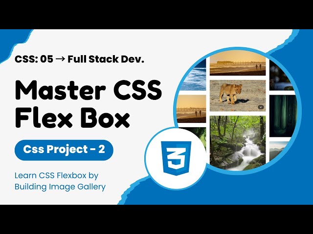 05: Complete CSS Flexbox tutorial | Image Gallery Design In CSS | CSS Course
