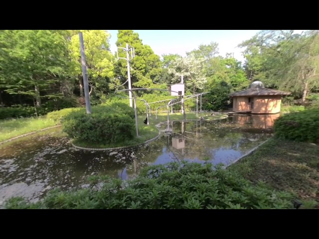 【千葉動物公園】【VR180】ちんぱんじーさん