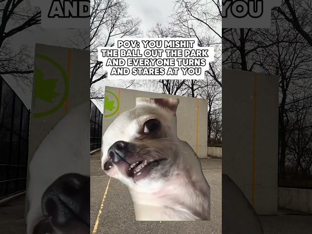 I think I got another ball in my bag.. #projecthandball #handball #wallball #dogmeme #funny #fyp