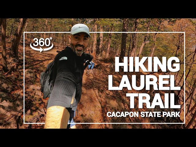 Walk With Us Through West Virginia Forest 🌲 360 VR Hiking Experience