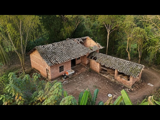 Leaving His High-Paying City Job, The Man Returned Home And Turned An Old House Into Paradise