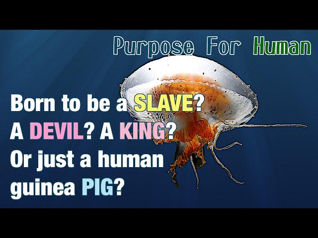 IDEAS and MYTHS [II] Purpose For Human
