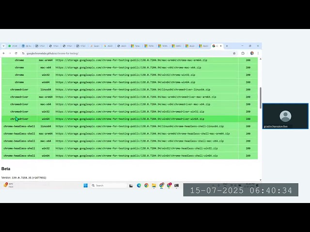 How to Scrape Websites Using Python Selenium _ Complete Guide _ Day 41(720P_HD)