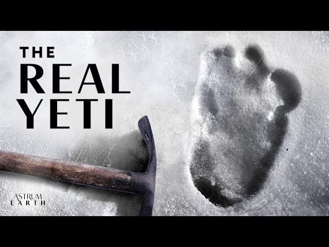 The Yeti Isn't What We Thought