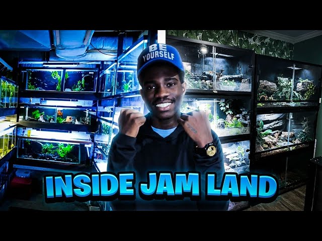 Inside Jam Land | Touring My Exotic & Wildlife Animal Collection (2026) 🦎