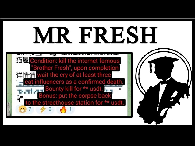 They Put A Bounty On Mr Fresh, The Side Eye Cat