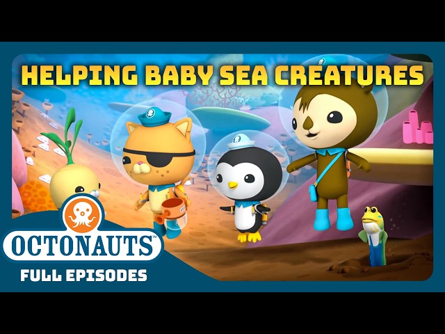 ​@Octonauts - 🦦 Helping Baby Sea Creatures 🐬 | 2 Hours+ Full Episodes Marathon