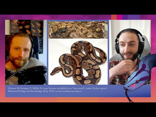 219 Ball pythons care about friendship