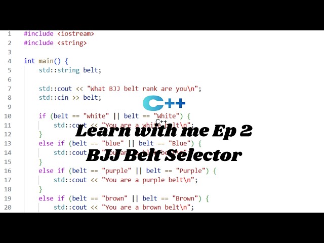 I Made A C++ Program For BJJ Practitioners