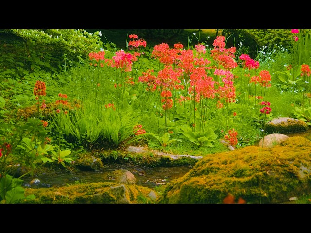 4K Spring Nature Sounds | Japanese Garden Stream & Birds - Ep 4 | Feel-Good Ambience