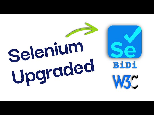 Selenium WebDriver BiDi: Mock API Responses