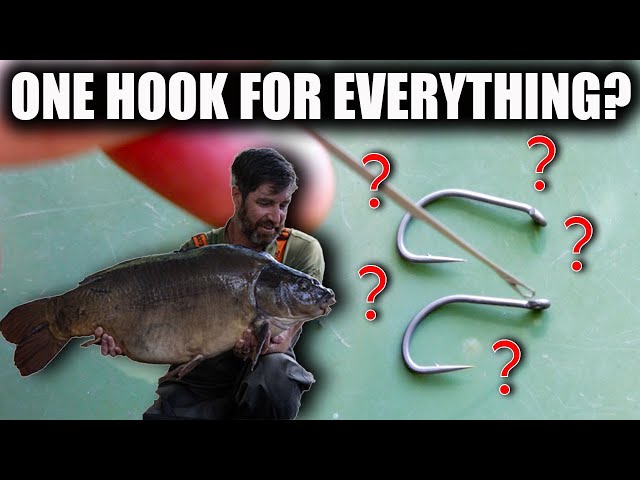 Carp Fishing Hooks Explained - How to Choose the Right Hook for Your Carp Rigs