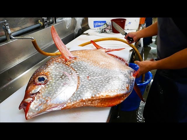 Comida callejera japonesa - Pez Sol Gigante Japón Mariscos