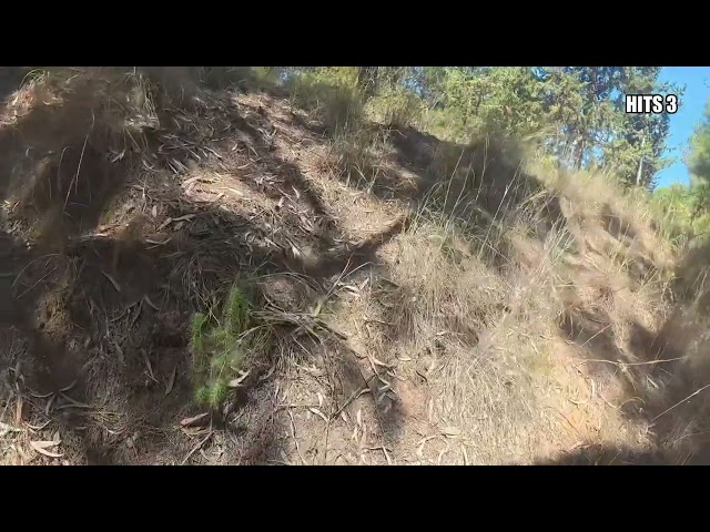 Sniper Field Craft: 7 Hidden Picks From the Bush 🌿🎯 | Airsoft POV Pt.1