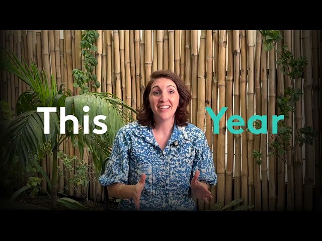 Applications for the MEST AI Startup Program are now open.