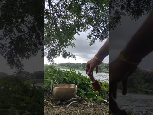 Beyond bowls: unique instruments for sound meditation