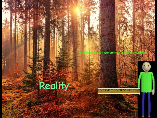 Baldi’s Self-Learning: About the Reality
