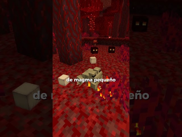 Como conseguir ranaluces en minecraft #shorts #minecraft