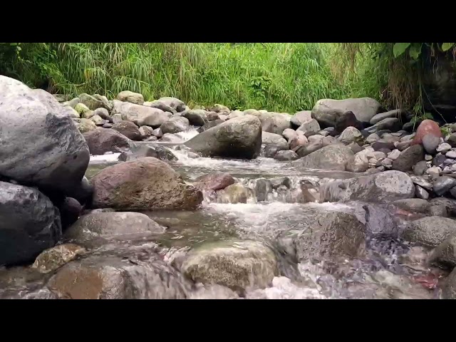 Starry Night River – Calm Ambience