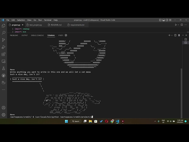 My CS50P Final Project
