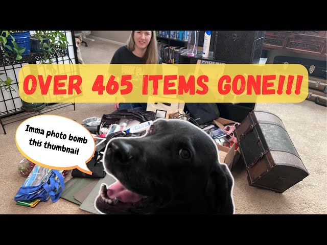 30 DAY MINIMALISM GAME | Another Month-Long Declutter Challenge!