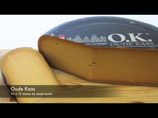 Elaboración de queso Gouda I