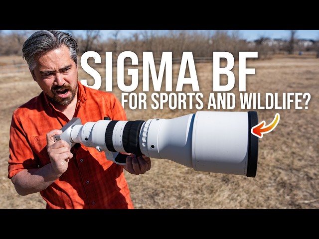 Just How Good is the Sigma BF's Autofocus Tech?
