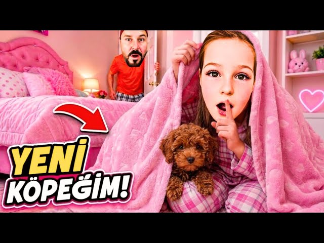 ADA ABİN BABANDAN GİZLİ EVE KÖPEK GETİRDİ! BABANIN ALERJİSİ TUTTU EYVAH NAPICAZ? 