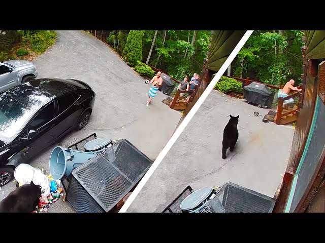 2025 TikTok Rewind 🔥 Most Viral Funny Videos of the Year